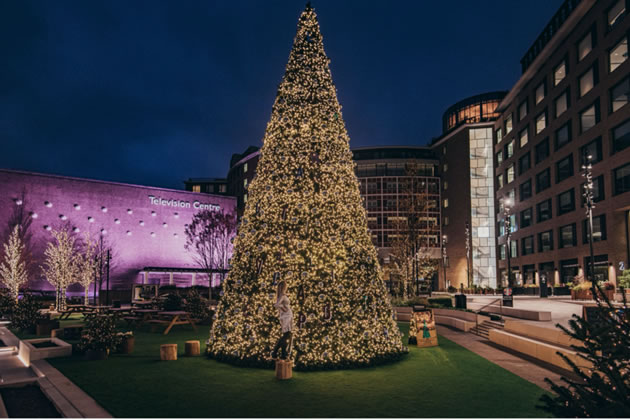 the joy tree at television centre